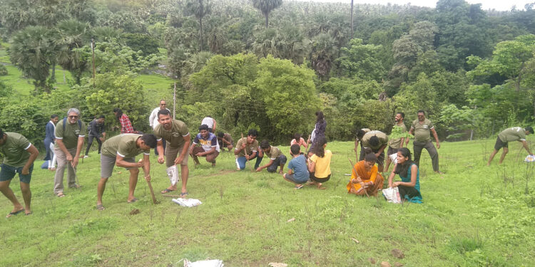 बीज वृक्षारोपणास युवावर्गाचा प्रतिसाद