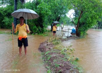 संरक्षण भिंतीमुळे शेतीचे नुकसान