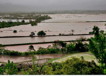मुरुड तालुक्यात विक्रमी पाऊस