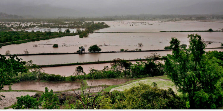 मुरुड तालुक्यात विक्रमी पाऊस