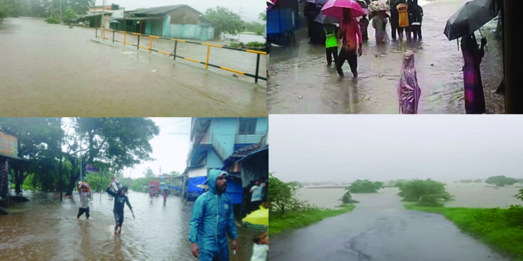 हजारो हेक्टरवरील भाताची रोपे कुजण्याची भीती