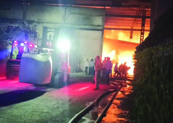 पाताळगंगा येथील गोदाम आगीत खाक