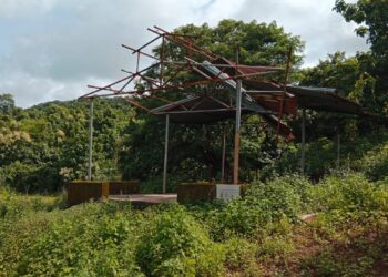 आपटा स्मशानभूमीची दुरवस्था