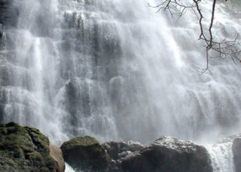 पावसाळी पर्यटनबंदी स्थानिकांच्या मुळावर