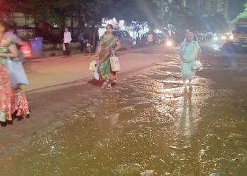 खड्ड्यांमुळे कामोठेकर त्रस्त