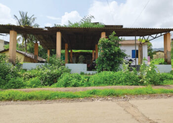 भाजी मार्केट गवताच्या विळख्यात