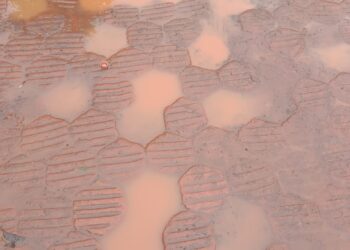 कच्च्या पेवर ब्लॉकमुळे माथेरानमध्ये खड्डे