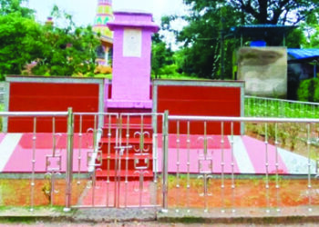 शहीद जवानांचे पाटणूस गाव