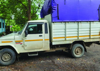 पालीत गुरे चोरणाऱ्या टोळीचा पर्दाफाश