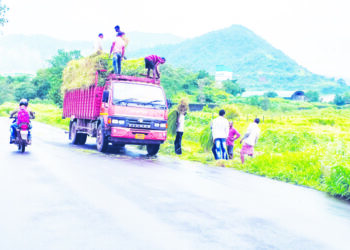गवत विक्रीतून आदिवासींना रोजगार