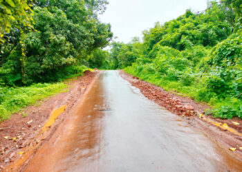बोर्लीपंचतन – श्रीवर्धन रस्ता बनला चिखलमय !