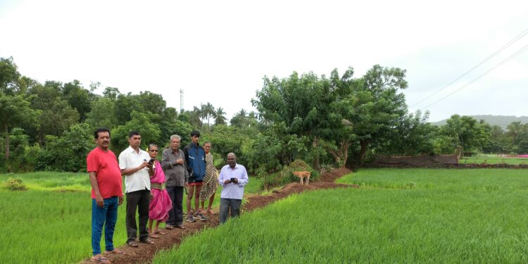 दांडगुरी येथे शेतकऱ्यांना ई-पीक पाहणी प्रशिक्षण