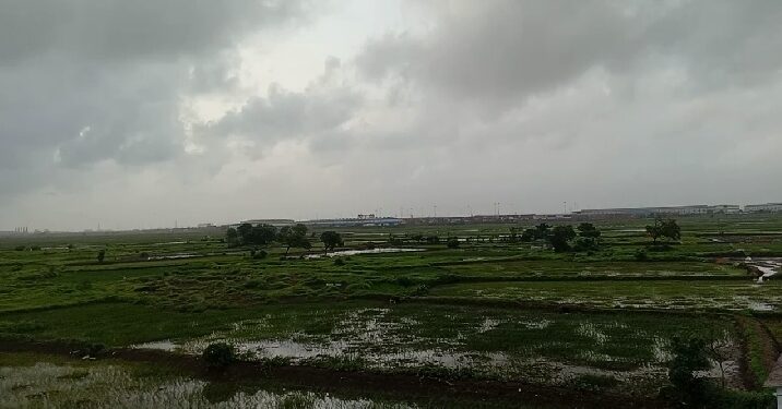 पावसाची पाठ, शेतीची वाट