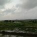 पावसाची पाठ, शेतीची वाट