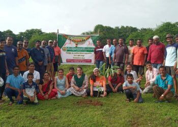 थळडोंगरीत शेकडो झाडांची लागवड