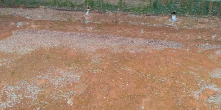 घरातून वाहतात झरे