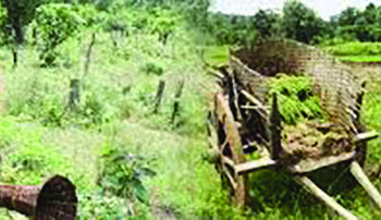 आदिवासींच्या मतांवर भाजपचा डोळा