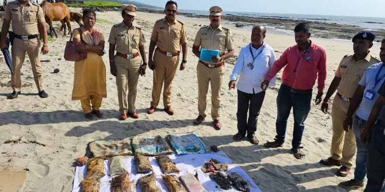 कोर्लई, थेरोंड्यात 99 लाखांचा चरस जप्त