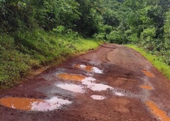 दांडगुरी – म्हसळा रस्त्यावर खड्डेच खड्डे