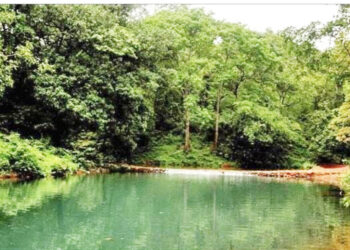 फणसाडला फक्त पाऊसच भेटतो