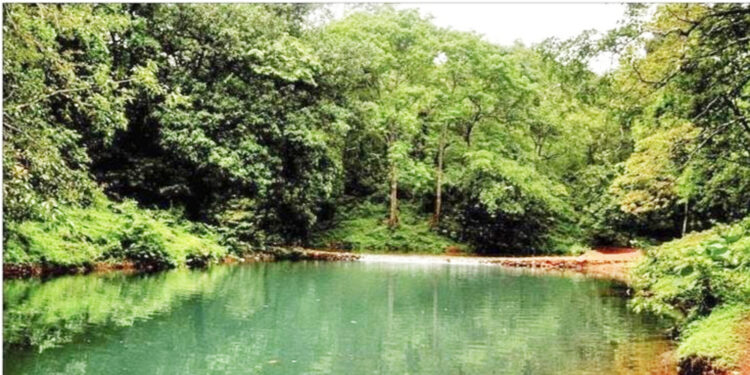 फणसाडला फक्त पाऊसच भेटतो