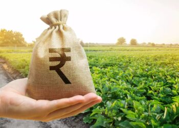 जिल्ह्यात पीक विमा योजनेला भरभरुन प्रतिसाद