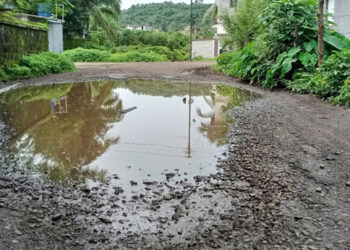 मजगांव-वेळास्ते रस्त्याची दुरवस्था