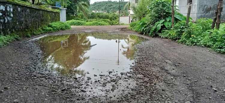 मजगांव-वेळास्ते रस्त्याची दुरवस्था