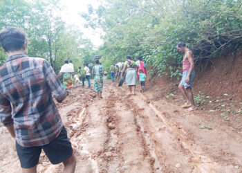 आदिवासीवाडीत रस्त्यासाठी ग्रामस्थांचे श्रमदान