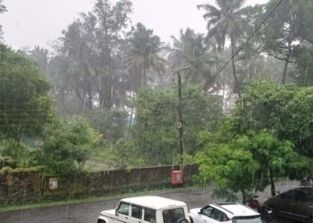 दमदार पावसाने बळीराजा सुखावला