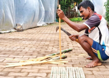 बगळी तयार करण्याची लगबग सुरू