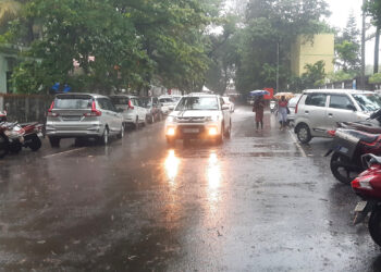 राज्यात मान्सून सक्रीय, पिकांना जीवदान