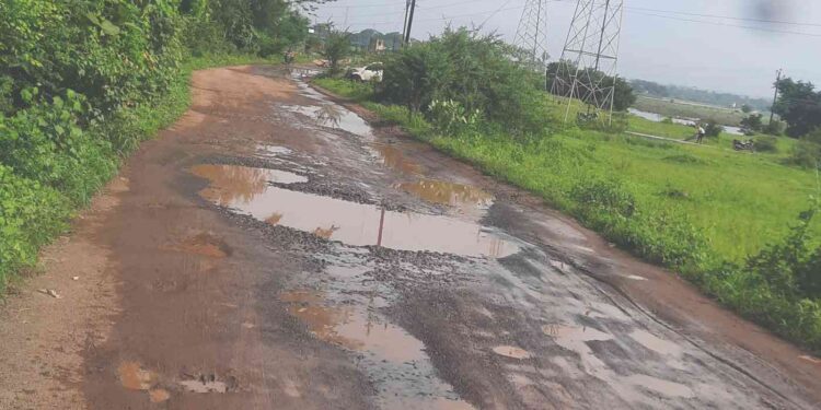 दामत रेल्वे फाटक रस्त्याची दुरावस्था