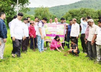 महावृक्षरोपणाचा दुसरा टप्पा पूर्ण