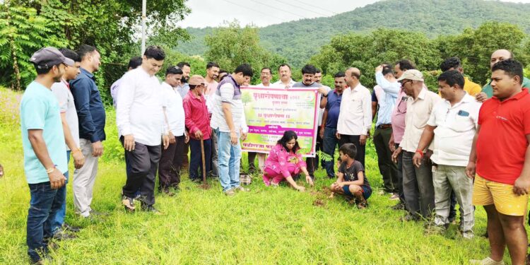 महावृक्षरोपणाचा दुसरा टप्पा पूर्ण