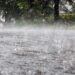 राज्यात पाऊस परतला; मुसळधार पावसाचा अंदाज