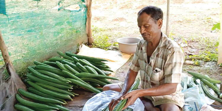 कर्जत तालुक्यात शेकडो शेतकऱ्यांची समूह शेती