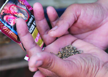 तंबाखूमुक्ती फक्त कागदावरच