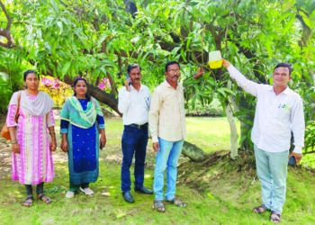 कृषी विभागाकडून कीड पीक पाहणी दौरा