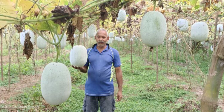 कर्जतमधील शेतकऱ्यांची अनोखी शेती