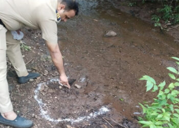 रोहा पुन्हा हादरले! डोक्यात दगड घालून वृद्ध महिलेची हत्‍या