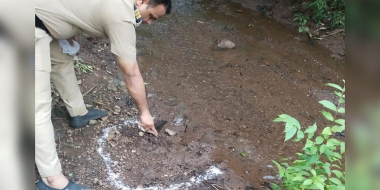 रोहा पुन्हा हादरले! डोक्यात दगड घालून वृद्ध महिलेची हत्‍या