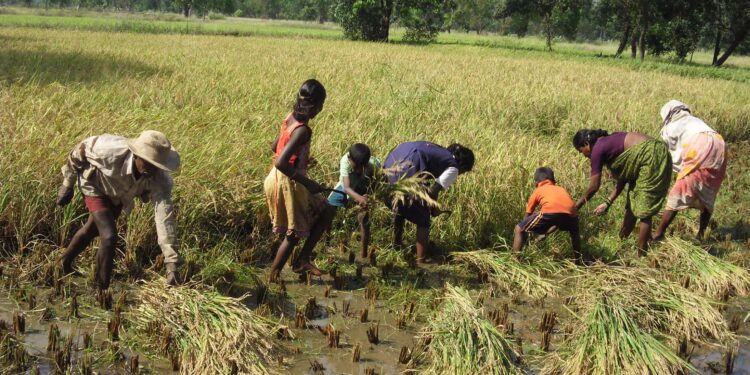 यांत्रिकीकरणामुळे शेतकऱ्यांना दिलास