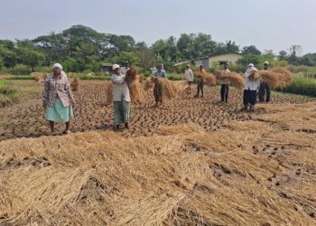 दसऱ्याच्या मुहूर्तावर बांधणीला सुरुवात