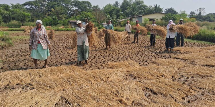 दसऱ्याच्या मुहूर्तावर बांधणीला सुरुवात