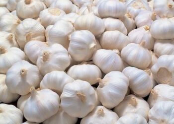 लसूण महागल्याने भाज्या बेचव