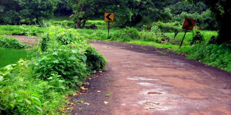 रस्त्याच्या दुतर्फा गवतामुळे अपघाताचा धोका