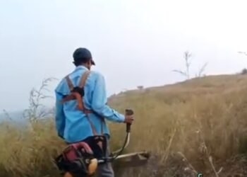 ऑक्सिजन पार्कने घेतला मोकळा श्वास