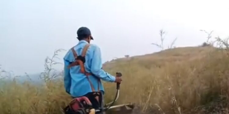 ऑक्सिजन पार्कने घेतला मोकळा श्वास
