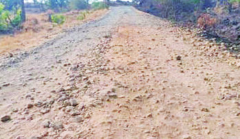 आदिवासीवाड्याचे स्थलांतर कधी थांबणार